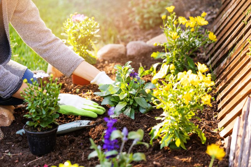 Flower Landscaping in Ventura County, CA