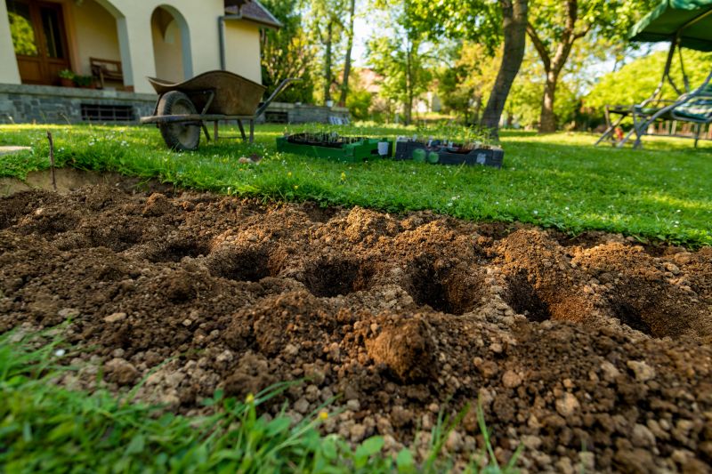 Gardening Service in Honolulu, HI