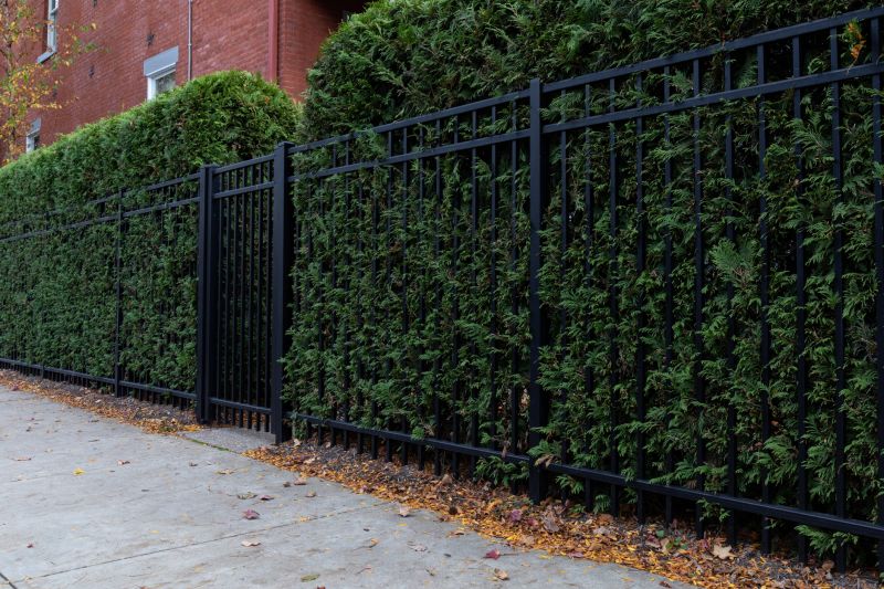 Hedge Landscaping in Ventura County, CA