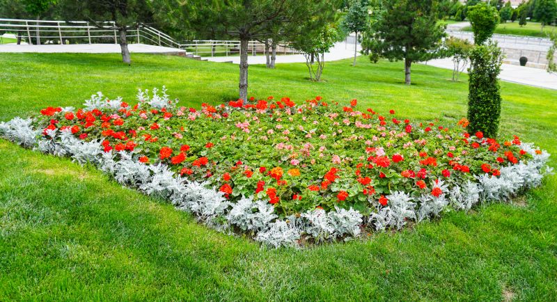 Tree and Shrub Arrangements