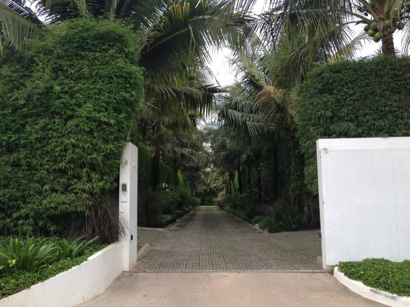 Landscape Planting Service in Honolulu, HI