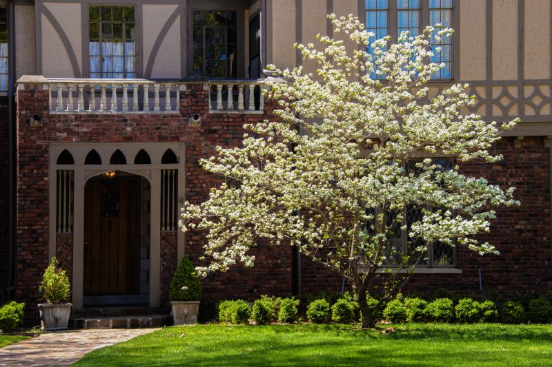 Ornamental Tree Planting in Ventura County, CA