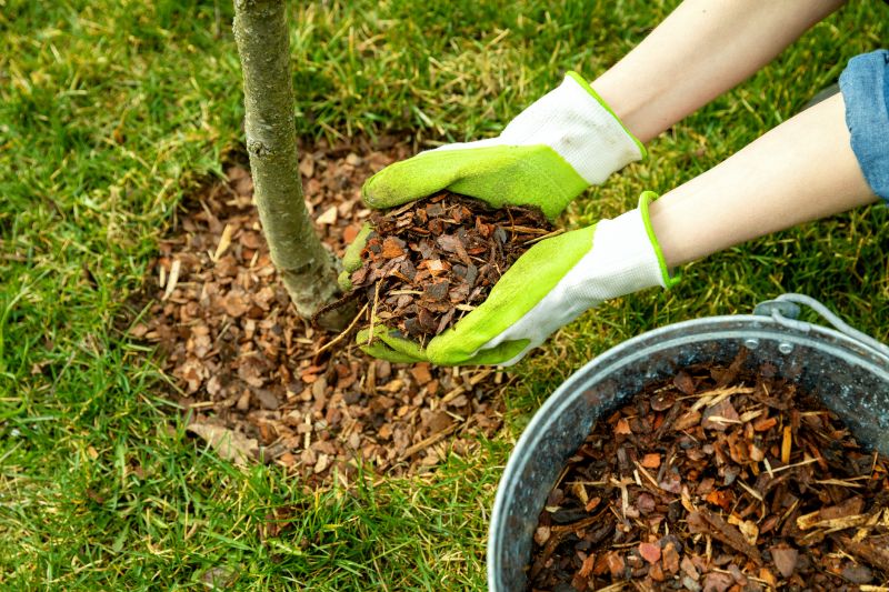 Pine Bark Mulch Installation in Ventura County, CA