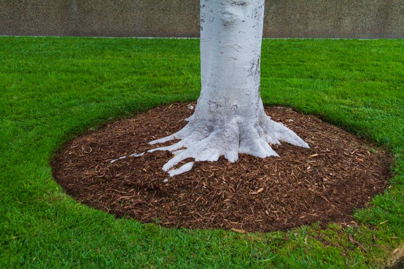 Shredded Mulch Service in Honolulu, HI