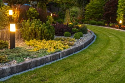 Tree Curbing Installation in Citrus County, FL