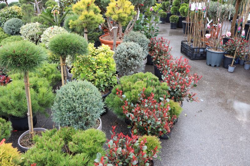 Bush Landscape Installation