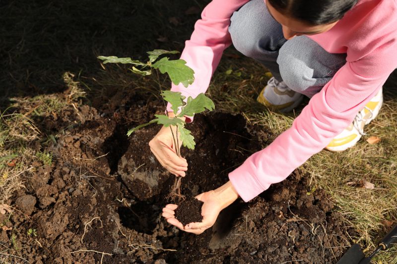 Ornamental Tree Planting in Ventura County, CA